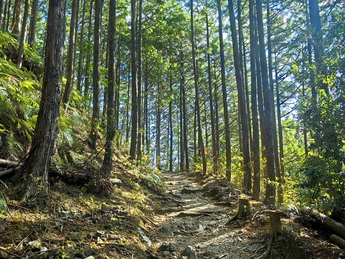 熊野古道中邊路